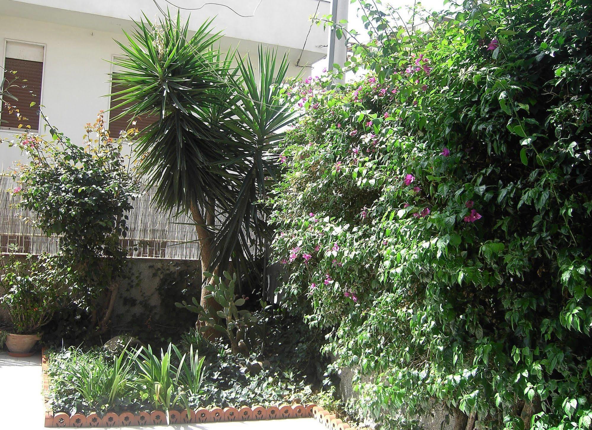 Motta SantʼAnastasia Etna Inn מראה חיצוני תמונה